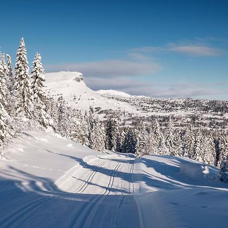 Svingvoll Skeikampen Leilighet, Veslesetervegen 973 F 아파트 외부 사진