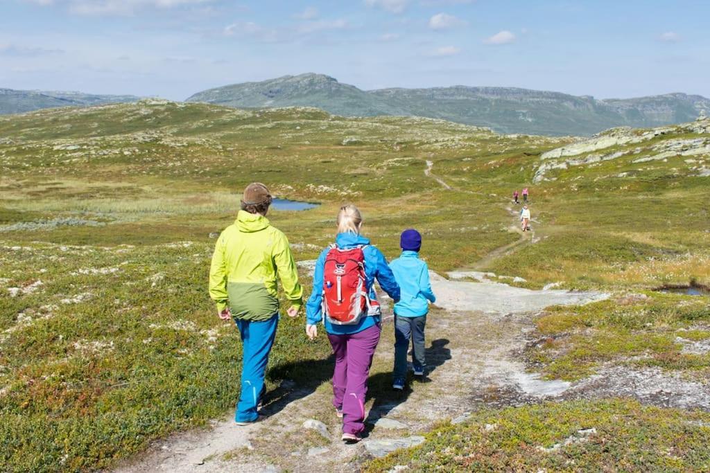 Svingvoll Skeikampen Leilighet, Veslesetervegen 973 F 아파트 외부 사진